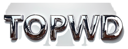 topwd login logo